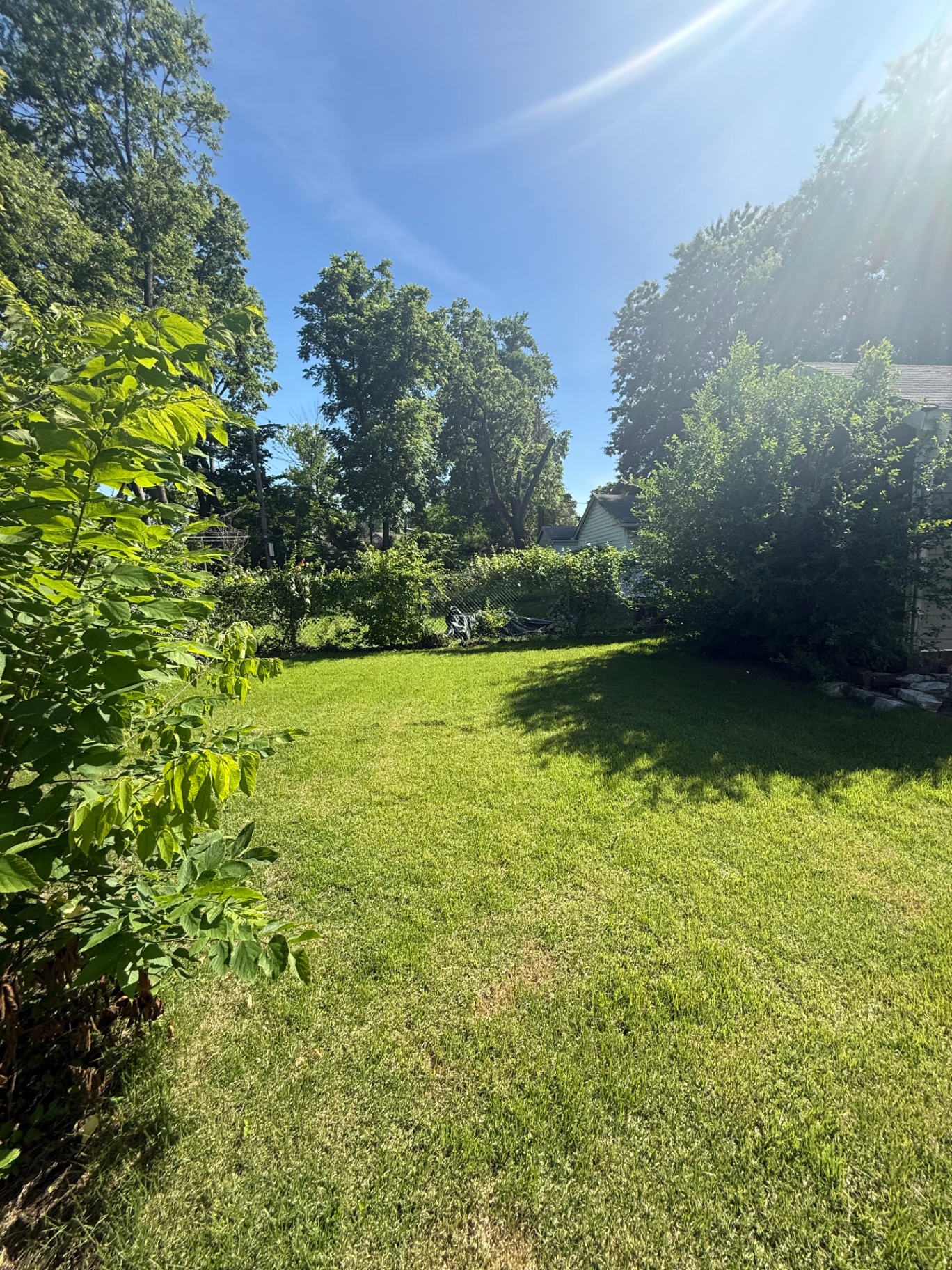 Fenced backyard lawn with trees