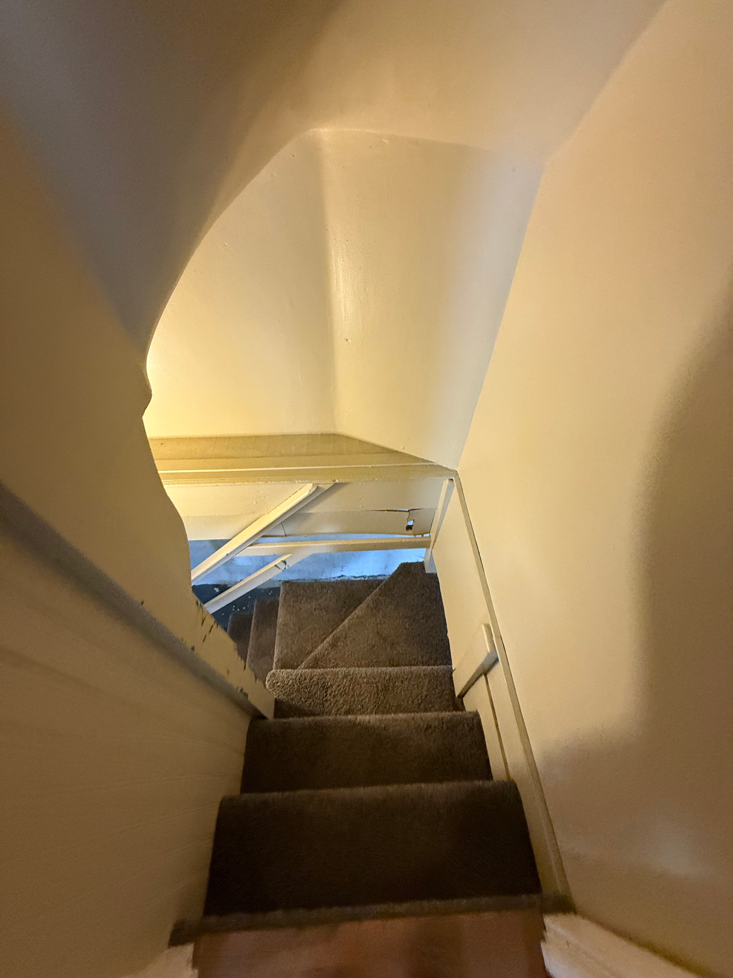 Carpeted basement staircase